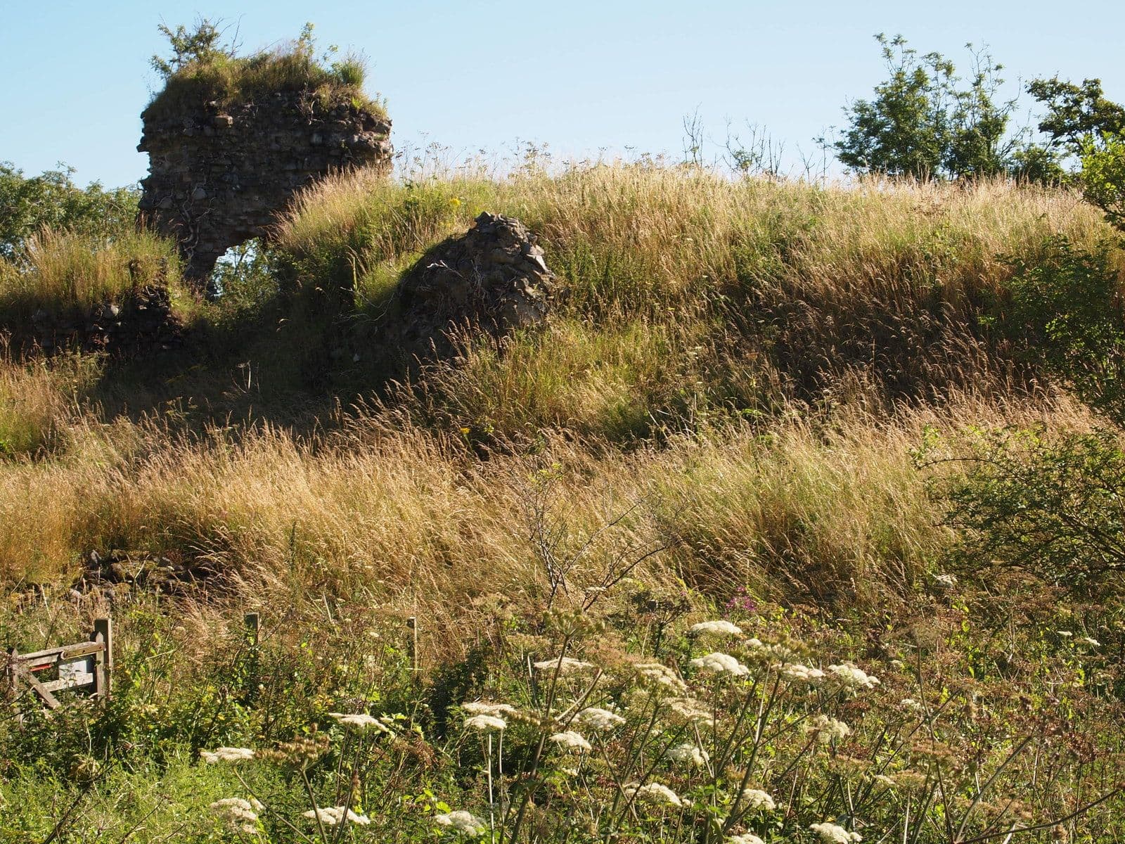 Buittle Castle, Dumfries and Galloway — The Remains of Buittle Castle