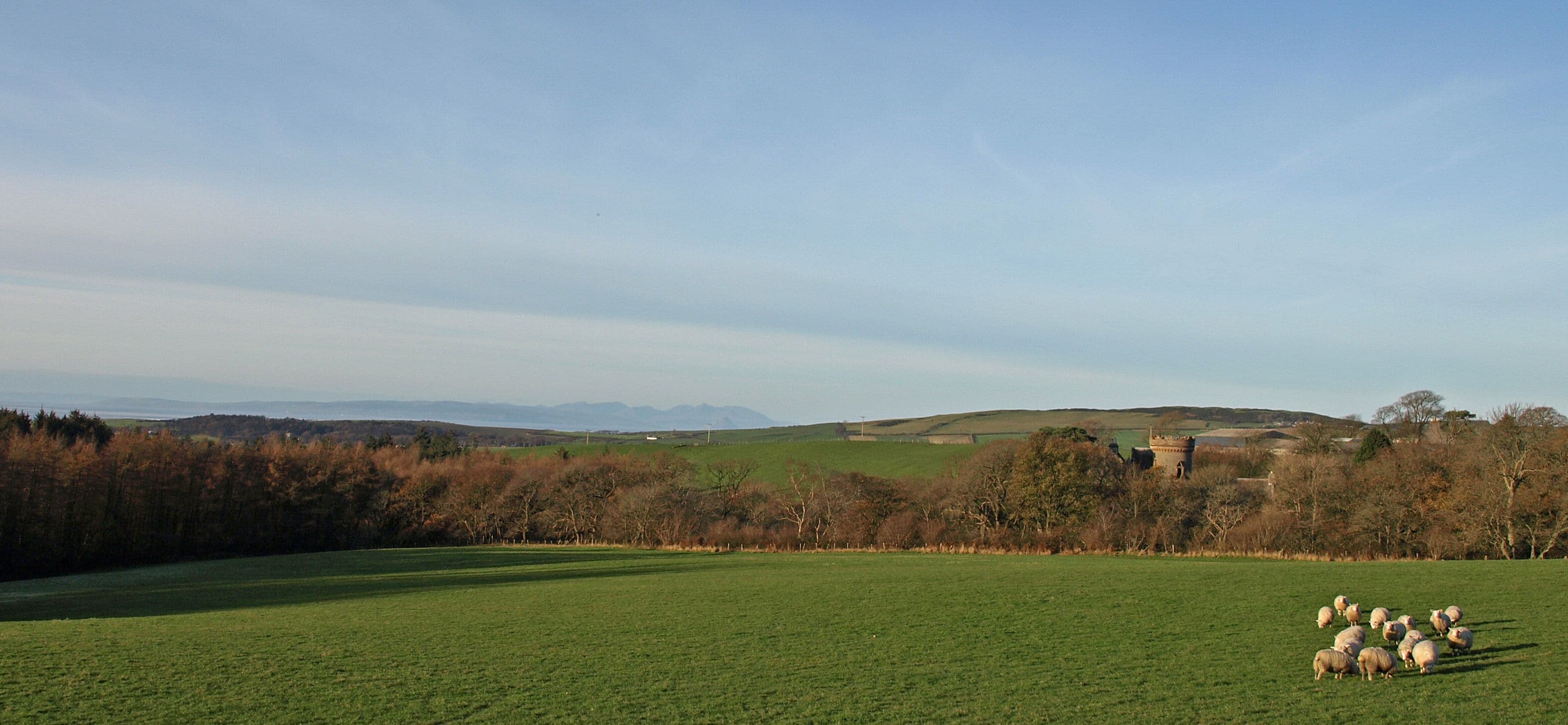 Penkill Castle, South Ayrshire — Grazing Sheep, Penkill Castle