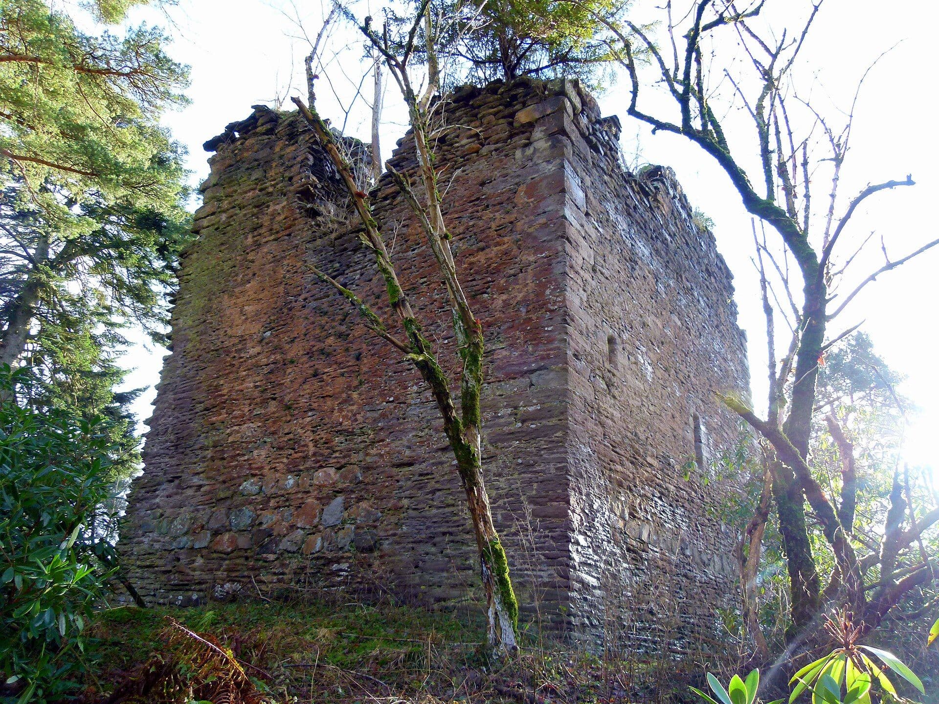 Castle Cluggy, Perth and Kinross — Remains of tower house, Castle Cluggy, which sits beside Loch Monzievaird. Definitely there in the 15th century, but may date from the 12th