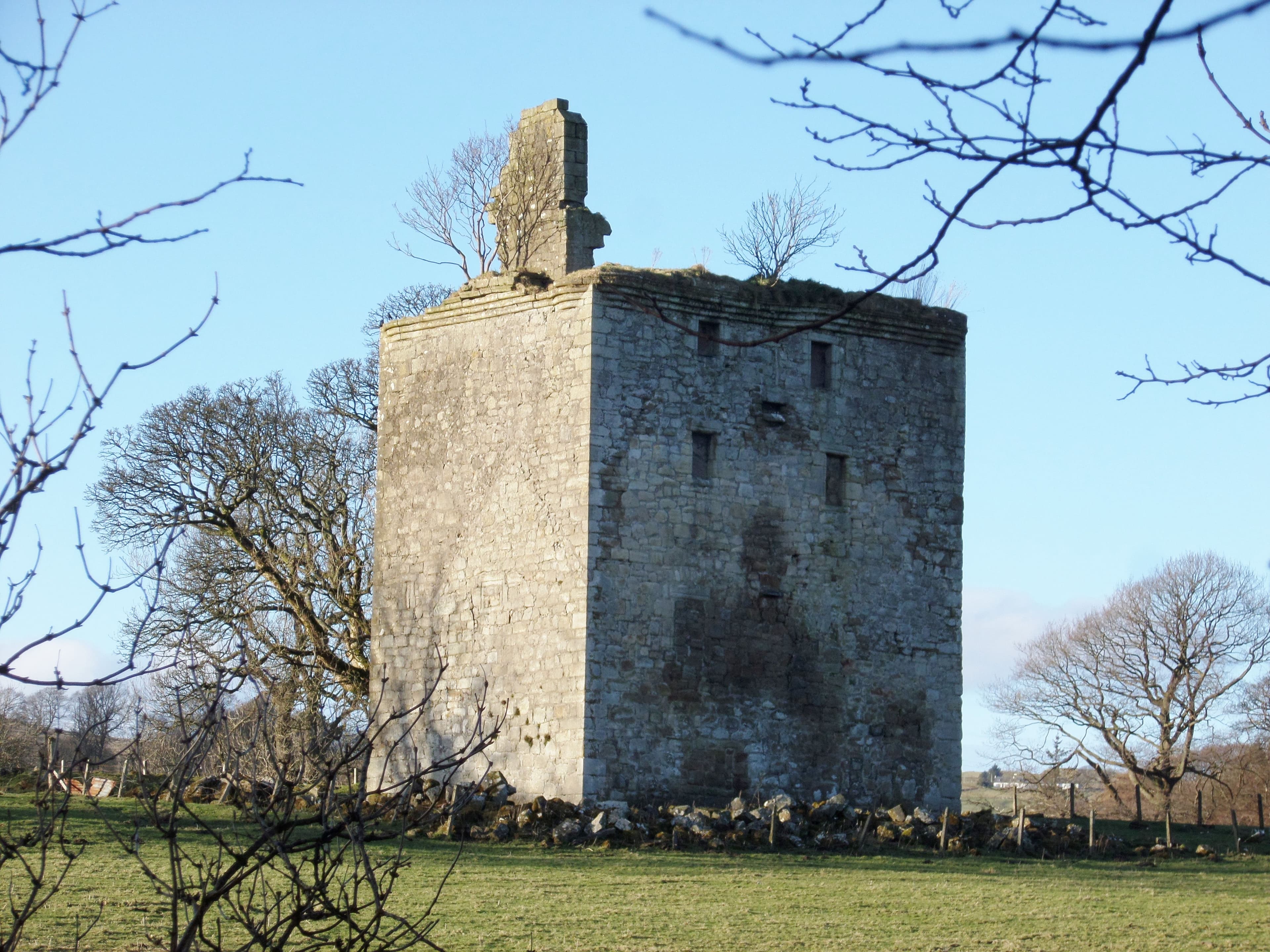 Barr Castle, Lochwinnoch, Renfrewshire - view from south-west. Probably last occupied by the McDowall's of Gartland in around 1800.