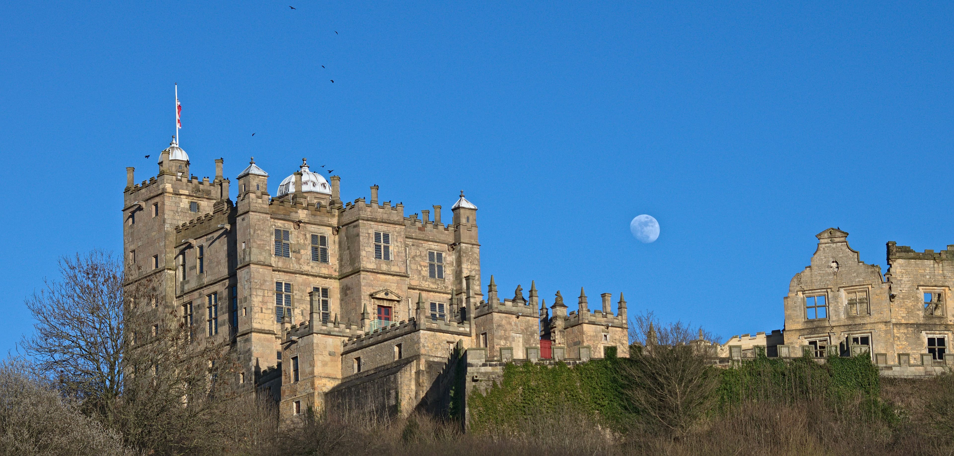 Bolsover Castle: eleventh century motte and bailey castle, twelfth century tower keep castle and seventeenth century country hou
.mw-parser-output .messagebox{margin:4px 0;width:auto;border-collapse:collapse;border:2px solid var(--border-color-progressive,#6485d1);background-color:var(--background-color-neutral-subtle,#fbfcff);color:var(--color-base,#202122);box-sizing:border-box;border-inline-start-width:8px}.mw-parser-output .messagebox.mbox-small{font-size:88%;line-height:1.25em}.mw-parser-output .mbox-warning,.mw-parser-output .mbox-speedy{border:2px solid var(--border-color-error,#b22222);background:var(--background-color-error-subtle,#ffdbdb);border-inline-start-width:8px}.mw-parser-output .mbox-serious,.mw-parser-output .mbox-delete,.mw-parser-output .mbox-stop{border:2px solid var(--border-color-error,#b22222);border-inline-start-width:8px}.mw-parser-output .mbox-issue,.mw-parser-output .mbox-content{border:2px solid #f28500;background:var(--background-color-warning-subtle,#ffe);border-inline-start-width:8px}.mw-parser-output .mbox-query,.mw-parser-output .mbox-style{border:2px solid #f4c430;background:var(--background-color-warning-subtle,#ffe);border-inline-start-width:8px}.mw-parser-output .mbox-shit{border:2px solid #960;border-inline-start-width:8px}.mw-parser-output .mbox-license{border:2px solid #88a;border-inline-start-width:initial}.mw-parser-output .mbox-legal{border:2px solid var(--border-color-notice,#666);background:var(--background-color-base,#fff);border-inline-start-width:8px}.mw-parser-output .mbox-honor{border:2px solid #ca3;background:var(--background-color-warning-subtle,#fcf4db);border-inline-start-width:8px}.mw-parser-output .mbox-growth{border:2px solid #8d4;background:var(--background-color-success-subtle,#d5fdf4);border-inline-start-width:8px}.mw-parser-output .mbox-move{border:2px solid #93c;border-inline-start-width:8px}.mw-parser-output .mbox-protection,.mw-parser-output .mbox-message{border:2px solid var(--border-color-base,#aaa);border-inline-start-width:8px}.mw-parser-output .messagebox .mbox-text{border:none;padding:0.25em 0.9em;width:100%}.mw-parser-output .messagebox .mbox-image{border:none;padding:2px 0 2px 0.9em;text-align:center}.mw-parser-output .messagebox .mbox-imageright{border:none;padding:2px 0.9em 2px 0;text-align:center}.mw-parser-output .messagebox .mbox-empty-cell{border:none;padding:0;width:1px}.mw-parser-output .messagebox .mbox-invalid-type{text-align:center}@media(min-width:720px){.mw-parser-output .messagebox{margin:4px 10%}.mw-parser-output .messagebox.mbox-small{clear:right;float:right;margin:4px 0 4px 1em;width:238px}}body.skin--responsive .mw-parser-output table.messagebox img{max-width:none!important}Wikidata has entry Bolsover Castle (Q17674918) with data related to this item.