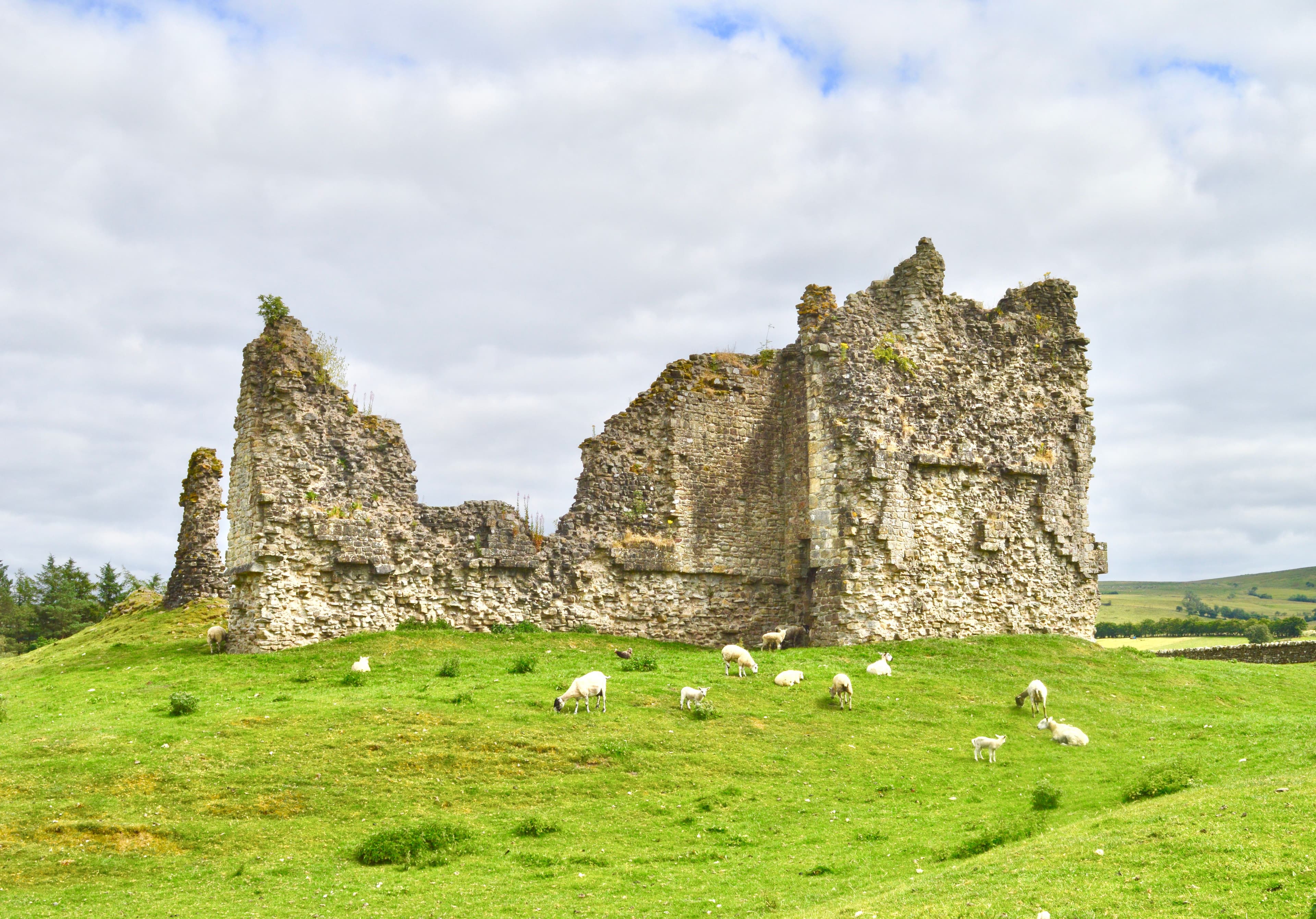 Bewcastle Castle
.mw-parser-output .messagebox{margin:4px 0;width:auto;border-collapse:collapse;border:2px solid var(--border-color-progressive,#6485d1);background-color:var(--background-color-neutral-subtle,#fbfcff);color:var(--color-base,#202122);box-sizing:border-box;border-inline-start-width:8px}.mw-parser-output .messagebox.mbox-small{font-size:88%;line-height:1.25em}.mw-parser-output .mbox-warning,.mw-parser-output .mbox-speedy{border:2px solid var(--border-color-error,#b22222);background:var(--background-color-error-subtle,#ffdbdb);border-inline-start-width:8px}.mw-parser-output .mbox-serious,.mw-parser-output .mbox-delete,.mw-parser-output .mbox-stop{border:2px solid var(--border-color-error,#b22222);border-inline-start-width:8px}.mw-parser-output .mbox-issue,.mw-parser-output .mbox-content{border:2px solid #f28500;background:var(--background-color-warning-subtle,#ffe);border-inline-start-width:8px}.mw-parser-output .mbox-query,.mw-parser-output .mbox-style{border:2px solid #f4c430;background:var(--background-color-warning-subtle,#ffe);border-inline-start-width:8px}.mw-parser-output .mbox-shit{border:2px solid #960;border-inline-start-width:8px}.mw-parser-output .mbox-license{border:2px solid #88a;border-inline-start-width:initial}.mw-parser-output .mbox-legal{border:2px solid var(--border-color-notice,#666);background:var(--background-color-base,#fff);border-inline-start-width:8px}.mw-parser-output .mbox-honor{border:2px solid #ca3;background:var(--background-color-warning-subtle,#fcf4db);border-inline-start-width:8px}.mw-parser-output .mbox-growth{border:2px solid #8d4;background:var(--background-color-success-subtle,#d5fdf4);border-inline-start-width:8px}.mw-parser-output .mbox-move{border:2px solid #93c;border-inline-start-width:8px}.mw-parser-output .mbox-protection,.mw-parser-output .mbox-message{border:2px solid var(--border-color-base,#aaa);border-inline-start-width:8px}.mw-parser-output .messagebox .mbox-text{border:none;padding:0.25em 0.9em;width:100%}.mw-parser-output .messagebox .mbox-image{border:none;padding:2px 0 2px 0.9em;text-align:center}.mw-parser-output .messagebox .mbox-imageright{border:none;padding:2px 0.9em 2px 0;text-align:center}.mw-parser-output .messagebox .mbox-empty-cell{border:none;padding:0;width:1px}.mw-parser-output .messagebox .mbox-invalid-type{text-align:center}@media(min-width:720px){.mw-parser-output .messagebox{margin:4px 10%}.mw-parser-output .messagebox.mbox-small{clear:right;float:right;margin:4px 0 4px 1em;width:238px}}body.skin--responsive .mw-parser-output table.messagebox img{max-width:none!important}Wikidata has entry Bewcastle Castle (Q678595) with data related to this item.