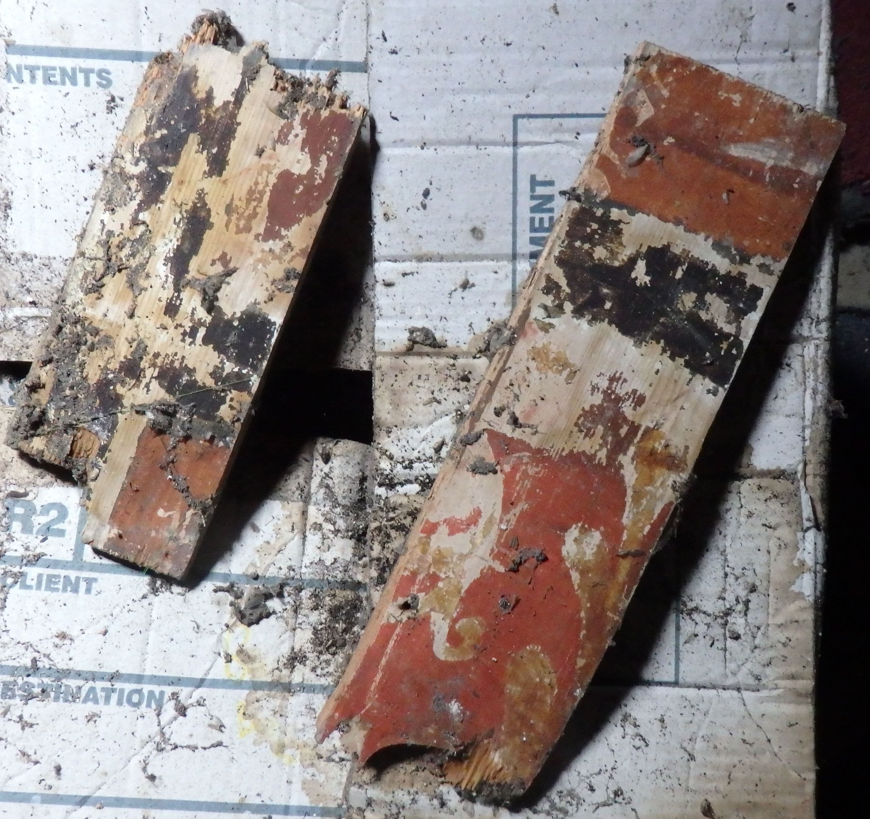 Keith Marischal, East Lothian — Scottish renaissance painted ceiling boards from Keith Marischal House. The boards were reused in the house in an attic. The pine wood proba