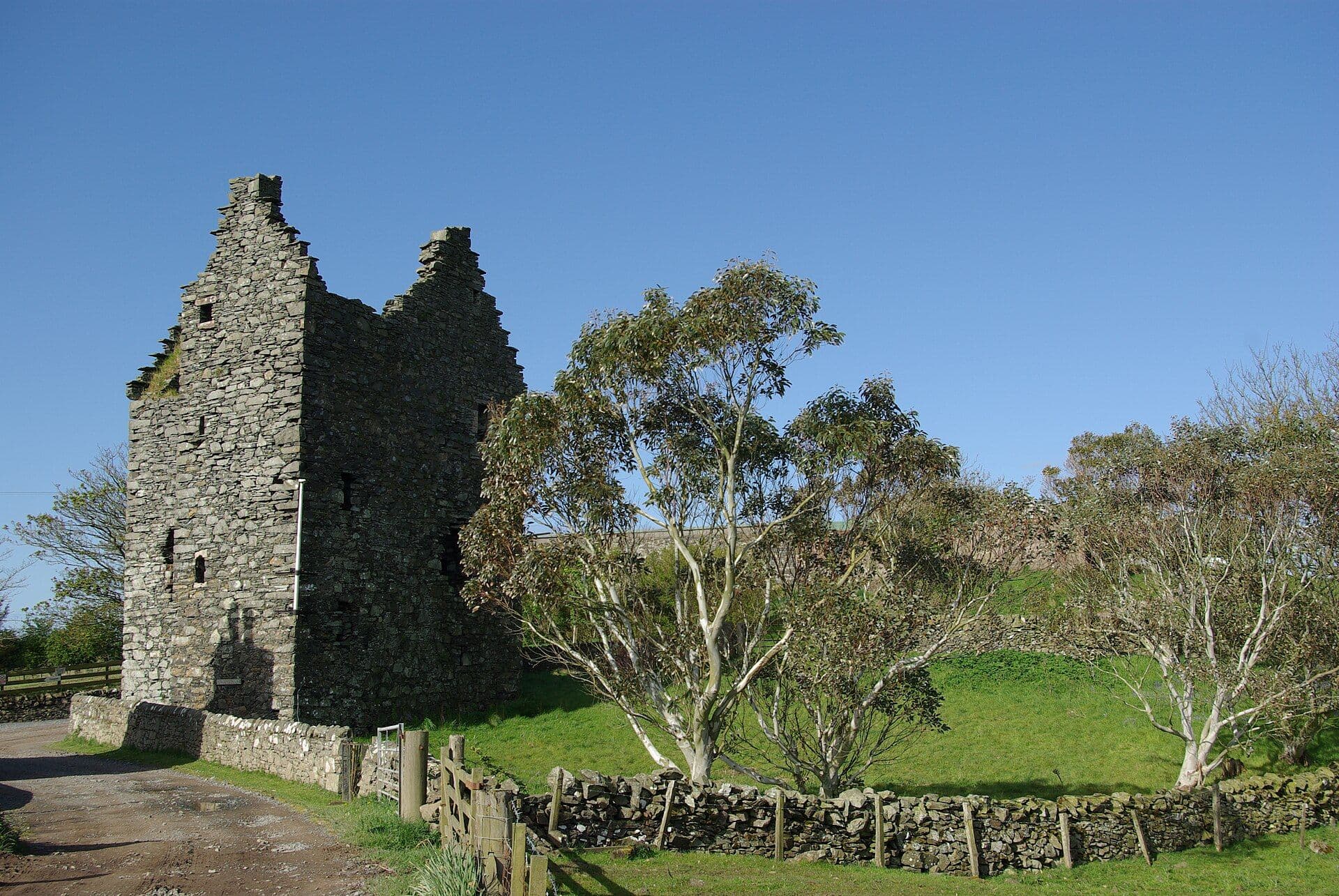 Galdenoch Castle, Dumfries and Galloway