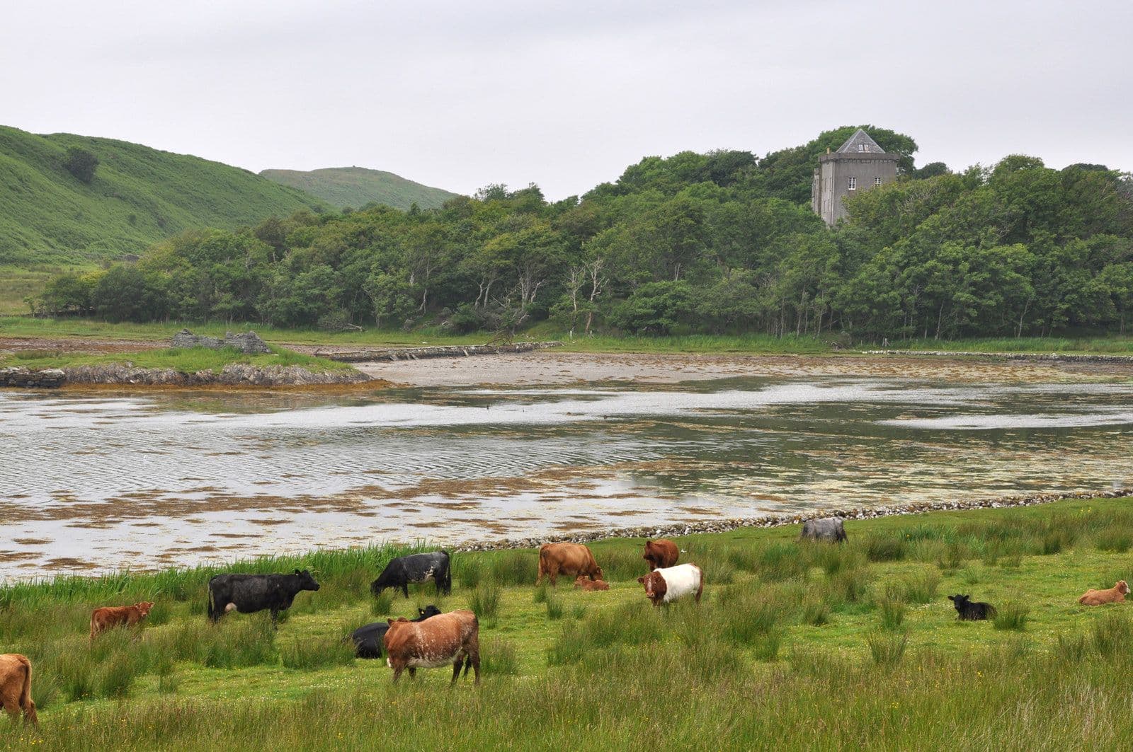 Craignish Castle, Argyll and Bute