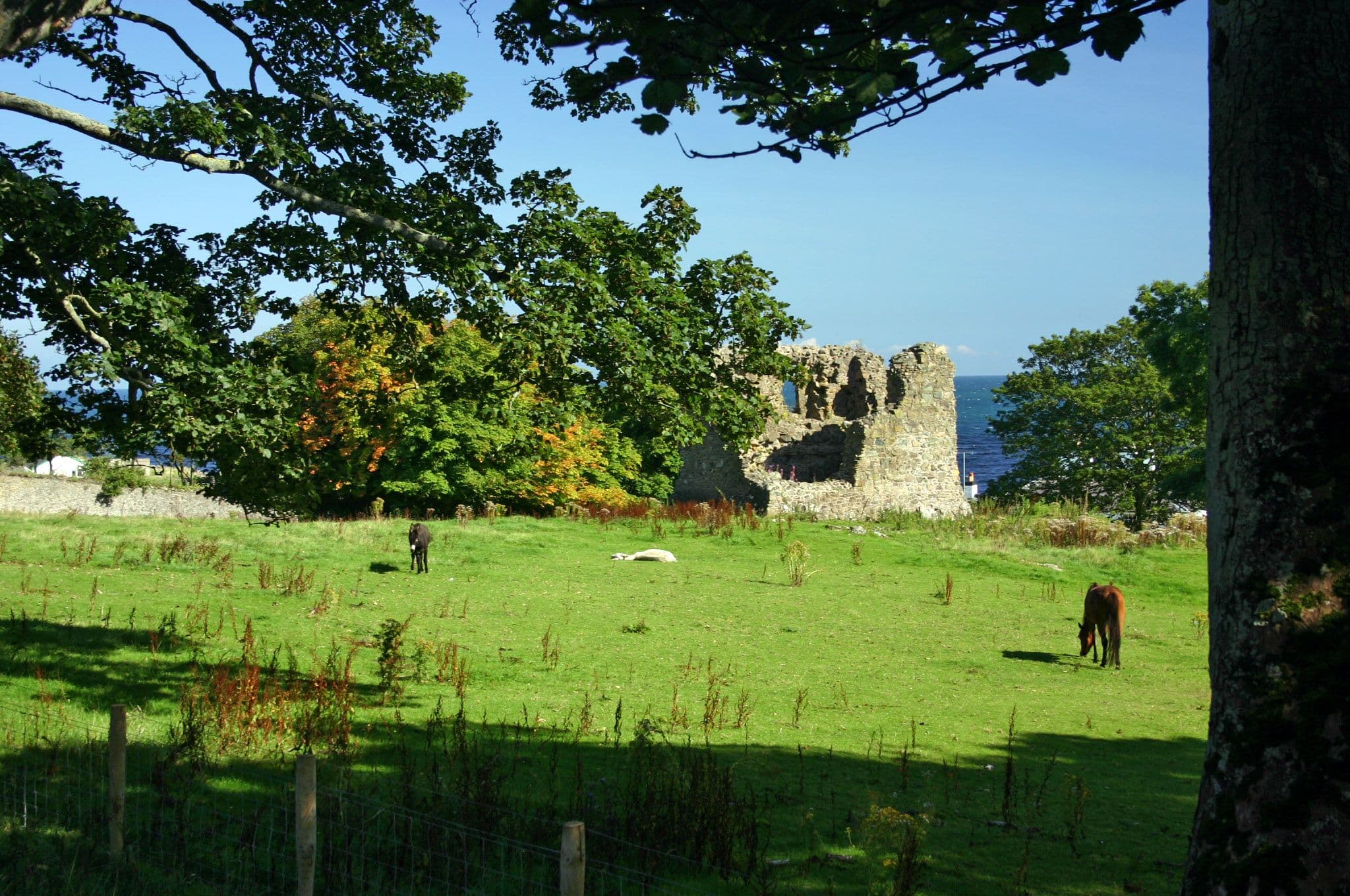Carra Castle, Causeway Coast and Glens — Castle Cara, Rockport House, Torr Road, Cushendun