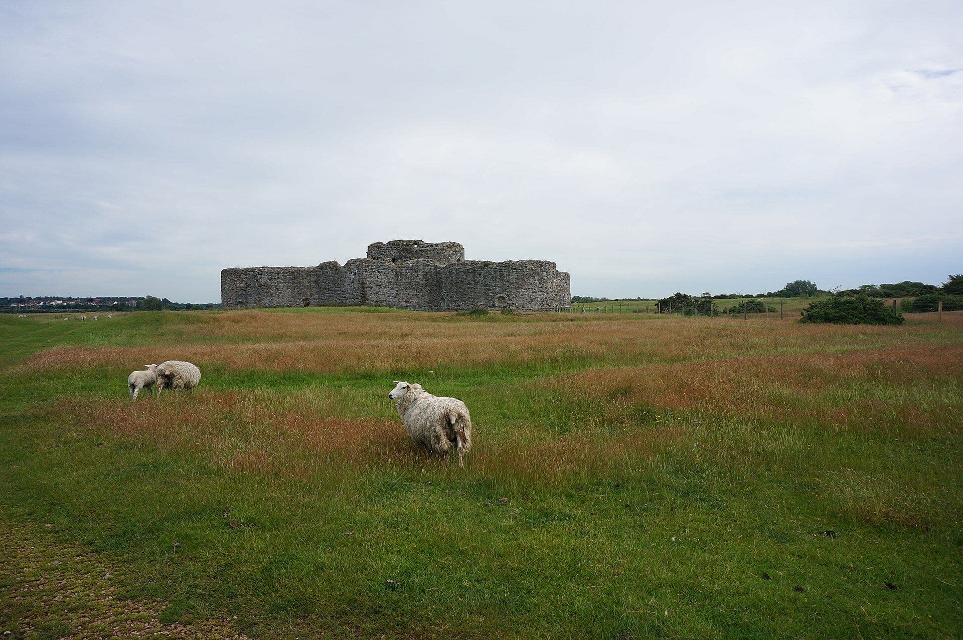Camber Castle, East Sussex