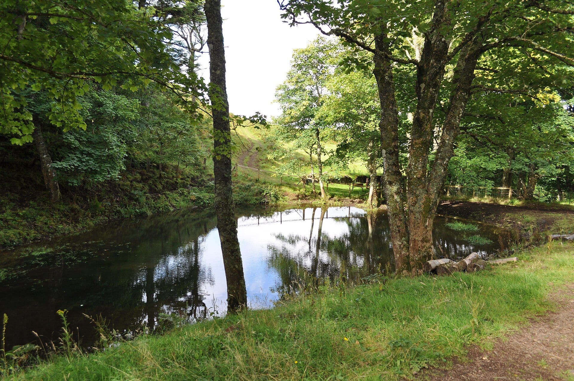 Glengorm Castle, Argyll and Bute — Pond at Glengorm castle